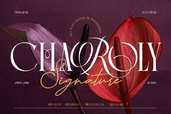 Charoly Signature: Evaluating a Versatile Serif and Script Font Duo